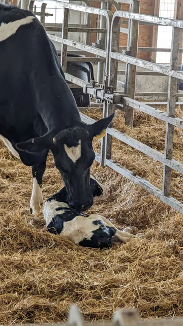 Penn State Dairy Complex