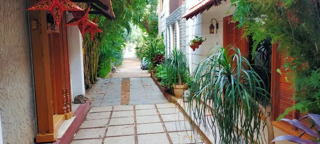 Louis Reddiar Garden