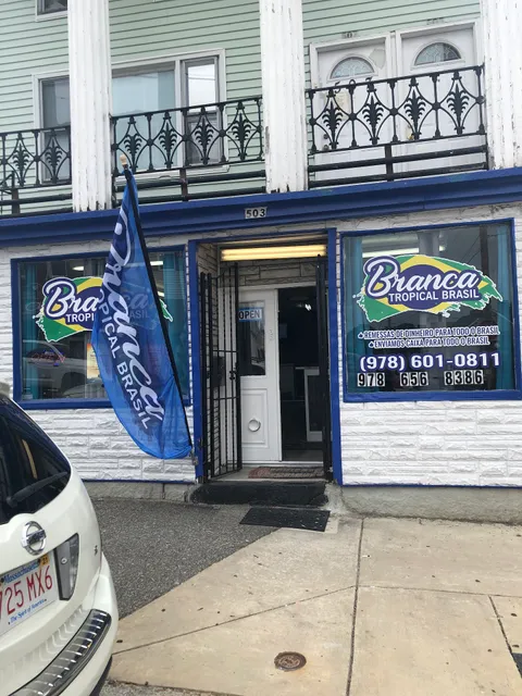 Branca tropical Brazil