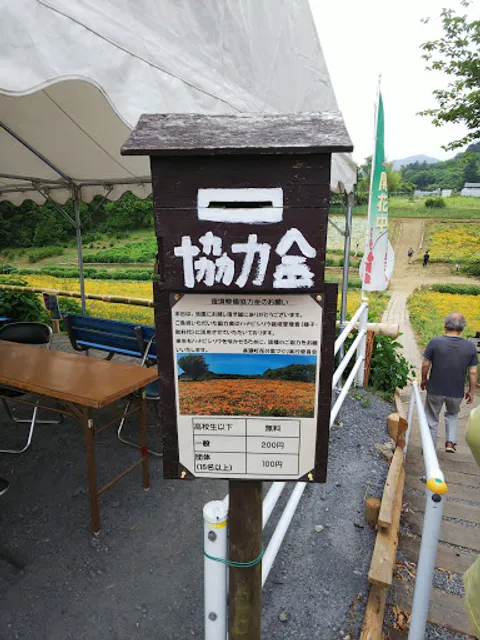 Nagatoro California Poppy Garden