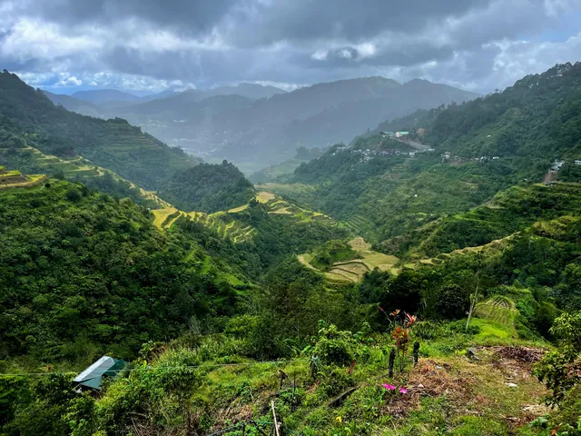 Banaue Rice Terraces
