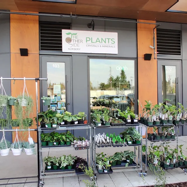 The Other Side Nursery