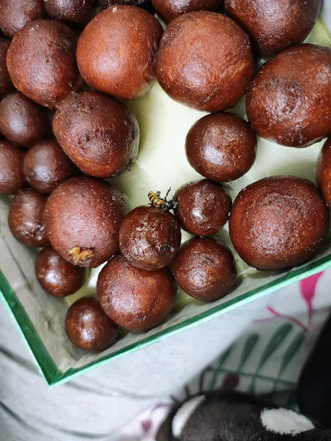 Om Bikaner Sweets, Bakery & Restaurant