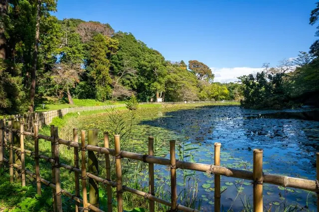 Sakura Castle Ruins Park
