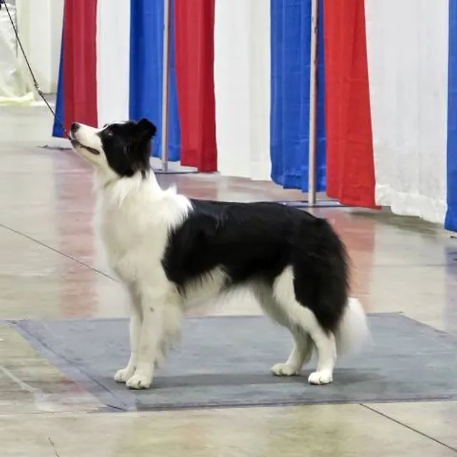 Acsaújlaki Kastély