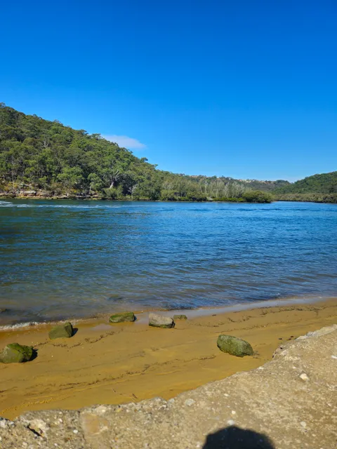 Burrawang Reach picnic area