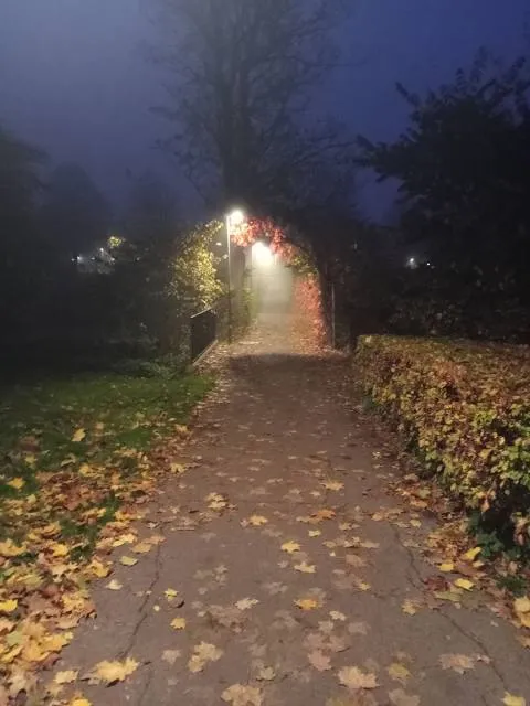 place image