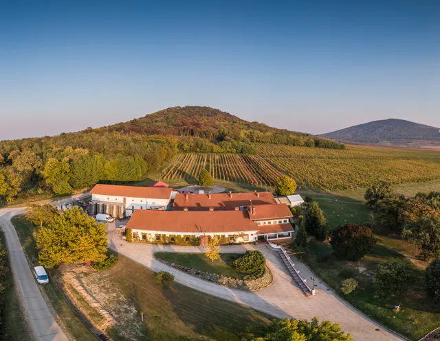 Vylyan Szőlőbirtok és Pincészet