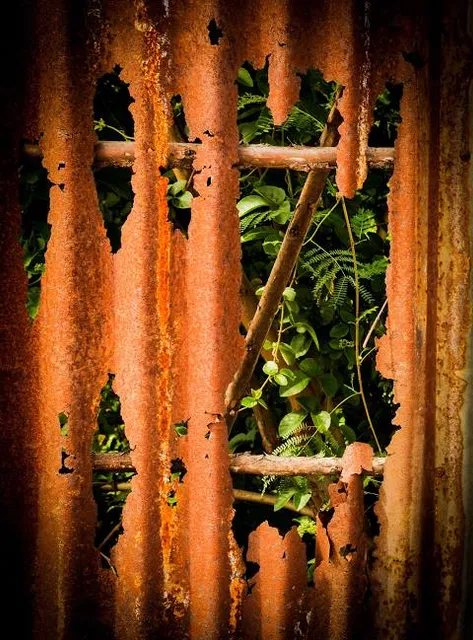 Kampung Buyut Cipageran (Kabuci) Asih Putera