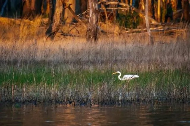 Lake Broadwater Conservation Park