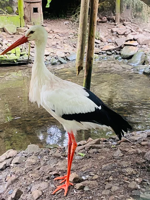 Osteroder Vogelstation