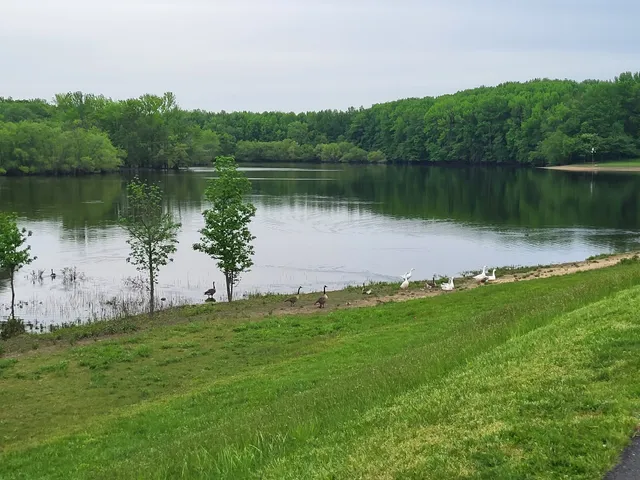 Veterans Park - Kurlander Field