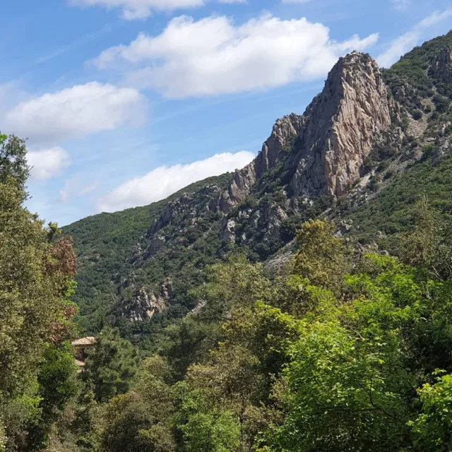 Paratge Natural de Poblet