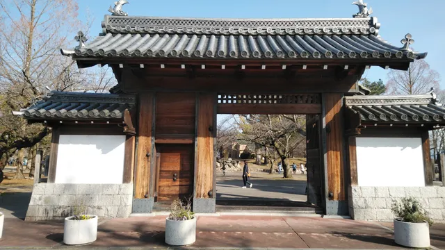 Zeze Castle Site Park