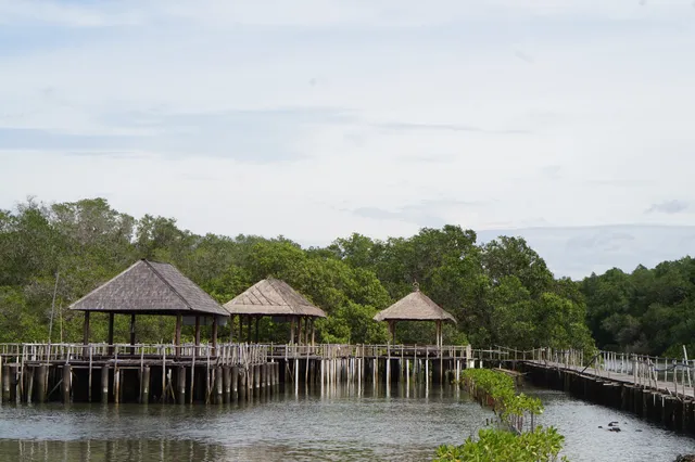 Ekowisata Mangrove