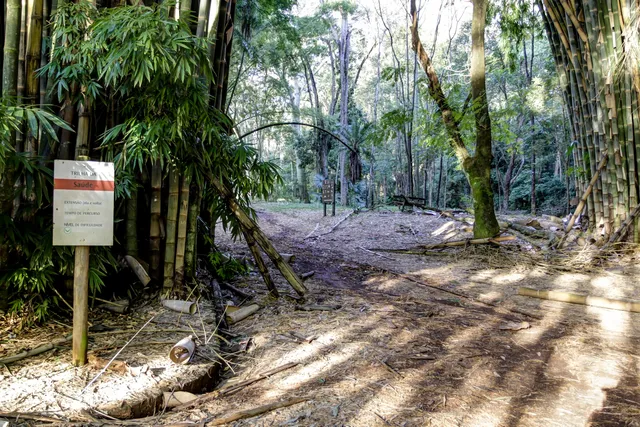 Floresta Estadual Edmundo Navarro de Andrade