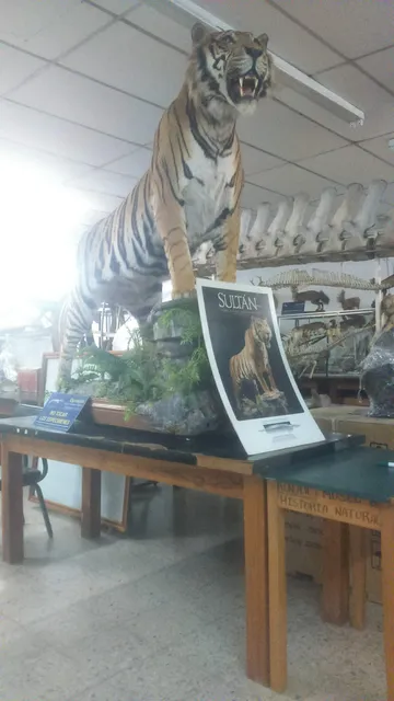 Museo de Historia Natural