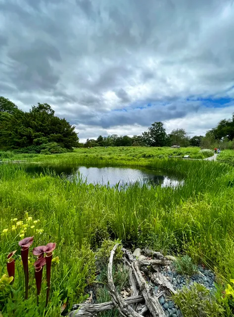 Native Plant Garden, NYBG