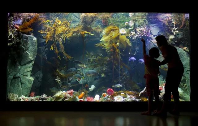 Shaw Centre for the Salish Sea