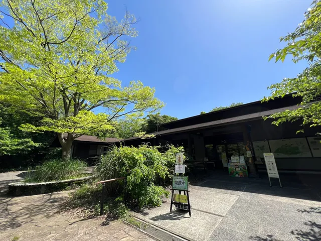 Yokohama Nature Observation Forest