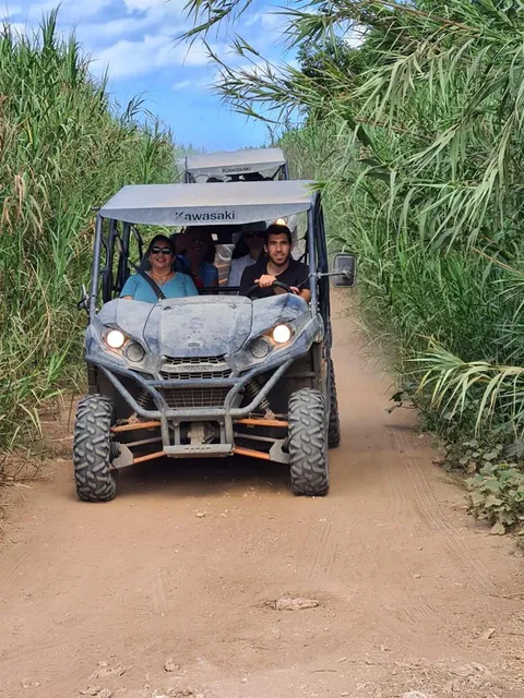 רייזר ביקום- בית יהושע