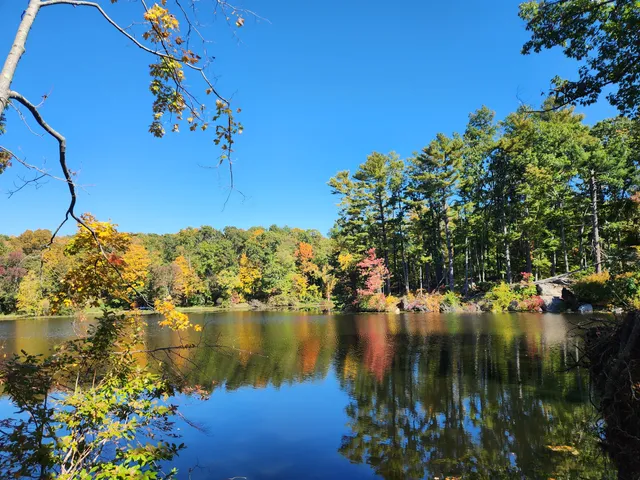 Branford Supply Pond Park