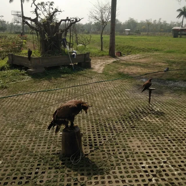 Khu du lịch sinh thái Làng Việt Đầm Trành