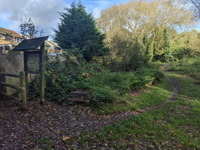 Laugherne Brook Local Nature Reserve