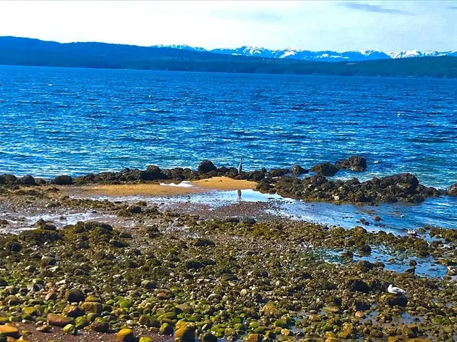 Little Squalicum Beach