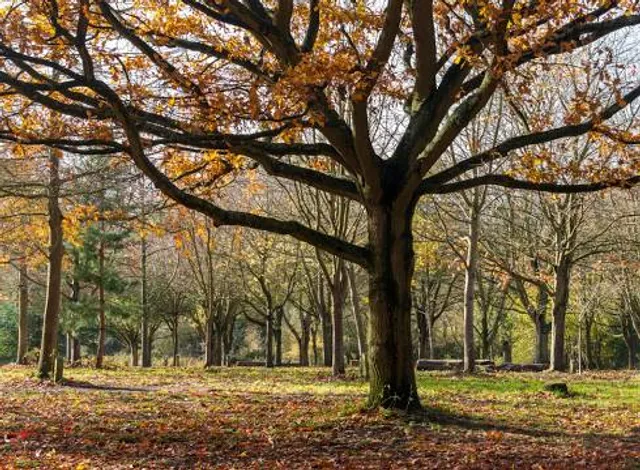 Shady Lane Arboretum