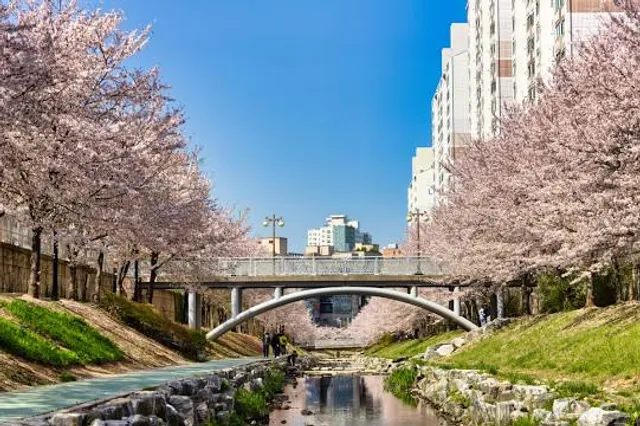 Mugeocheon beotkkotgil