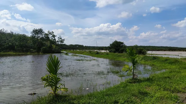 Padang Savana Braja Harjosari