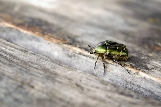 Naturpark Haus Längenfeld