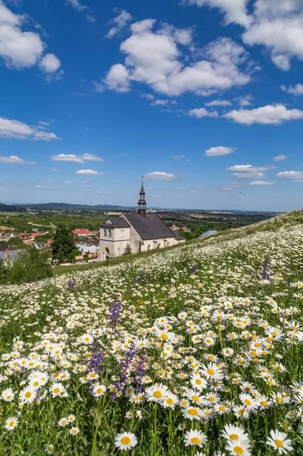 Chęciny Path of the Monk