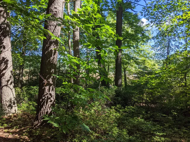 Mass Audubon's Eagle Lake Wildlife Sanctuary