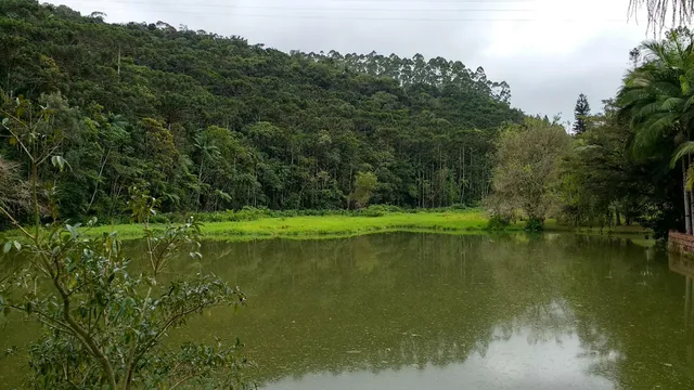 Morrow National Forest