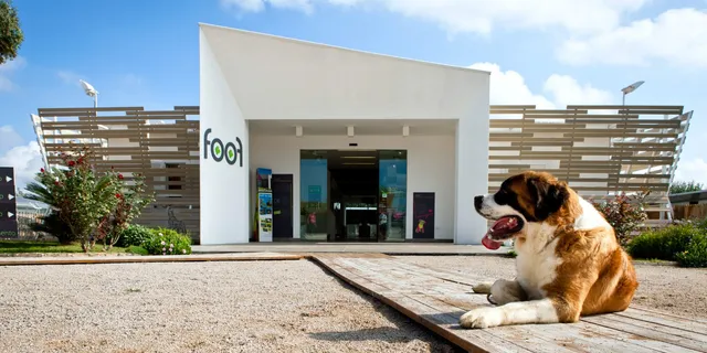 Foof Museum of the Dog Mondragone