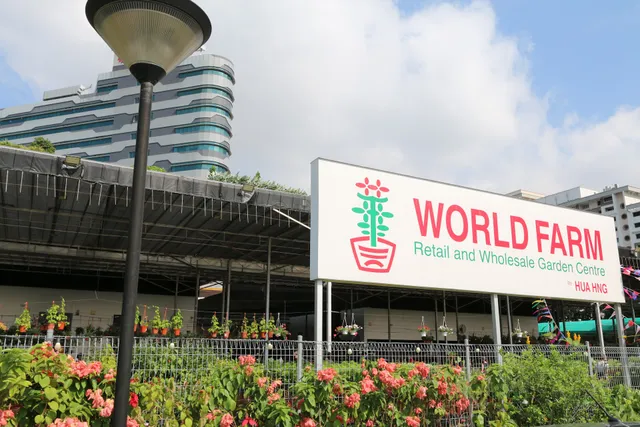 World Farm & Hua Hng