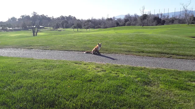 Los Lagos Golf Course Maintenance