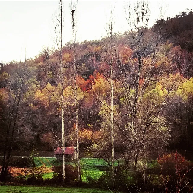 Bibliogîte Les Pierres Dorées
