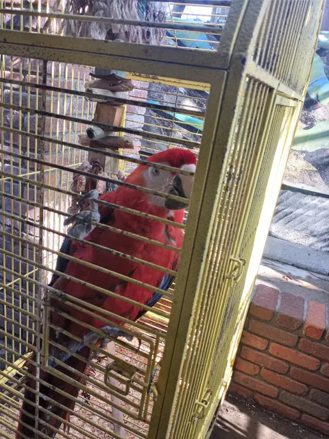 Kern County Marketplace Ltd.