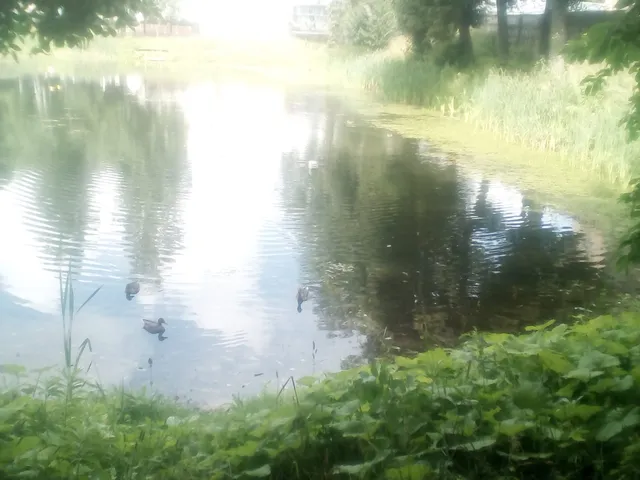 Muzey-Kvartira "A.t. Tvardovskiy V Smolenske"