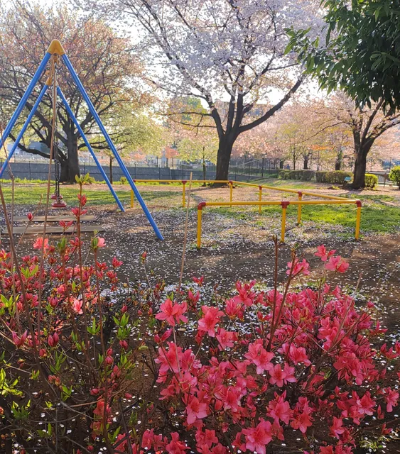 Nakazawa Park