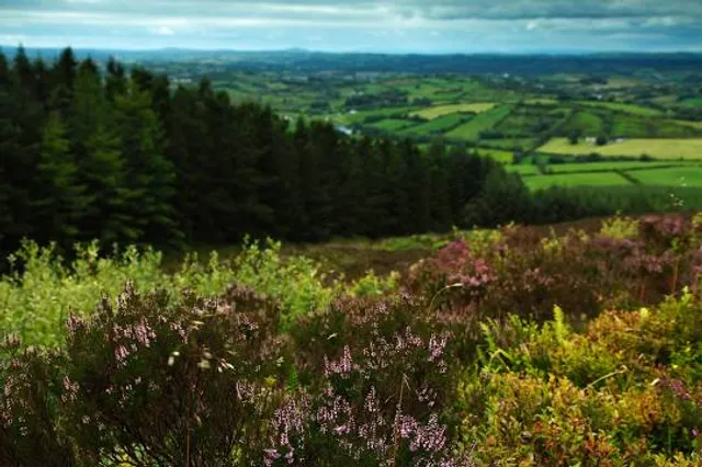 Loughanleagh & Muff Heritage Trust