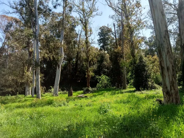 Circolo Parco Della Cellulosa Legambiente APS