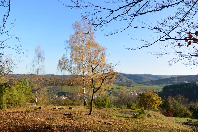 Wanderportal Premiumweg P9 - Wacholderpfad Roßbach
