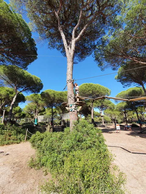 Among Branches Adventure S.L.