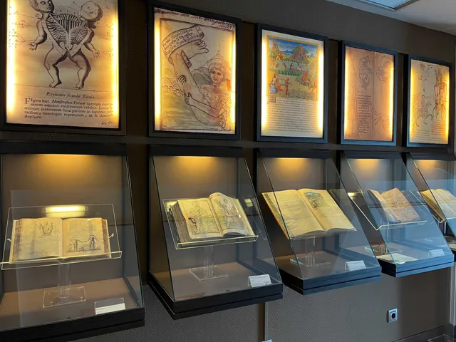 Voynich Museum y Museo del Cid