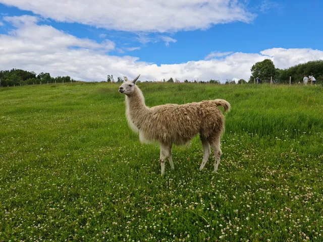 Snilsberg Familiepark