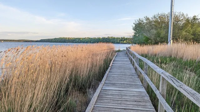 Südlicher Priwall Nature Reserve